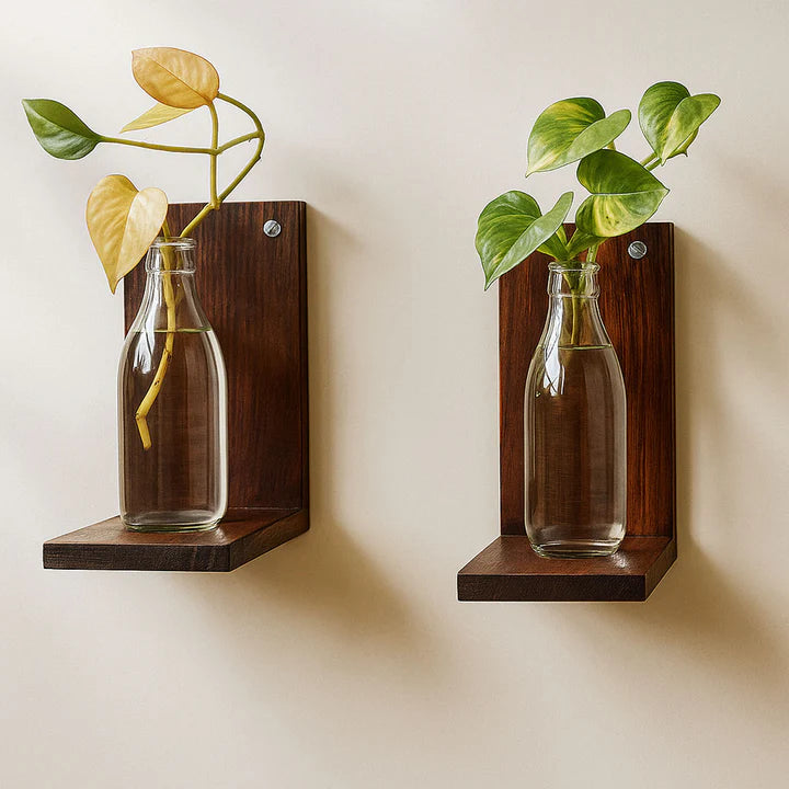 Modern Dark Walnut Wooden Wall Plant Shelf Set – Floating Hydroponic Display Shelves