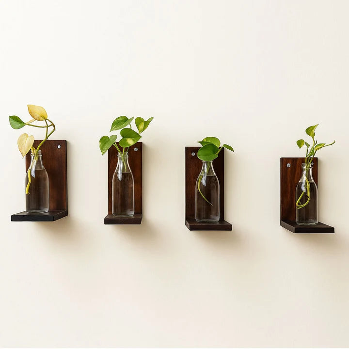 Modern Dark Walnut Wooden Wall Plant Shelf Set – Floating Hydroponic Display Shelves