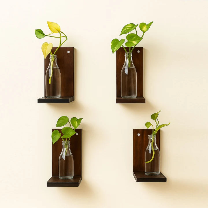 Modern Dark Walnut Wooden Wall Plant Shelf Set – Floating Hydroponic Display Shelves